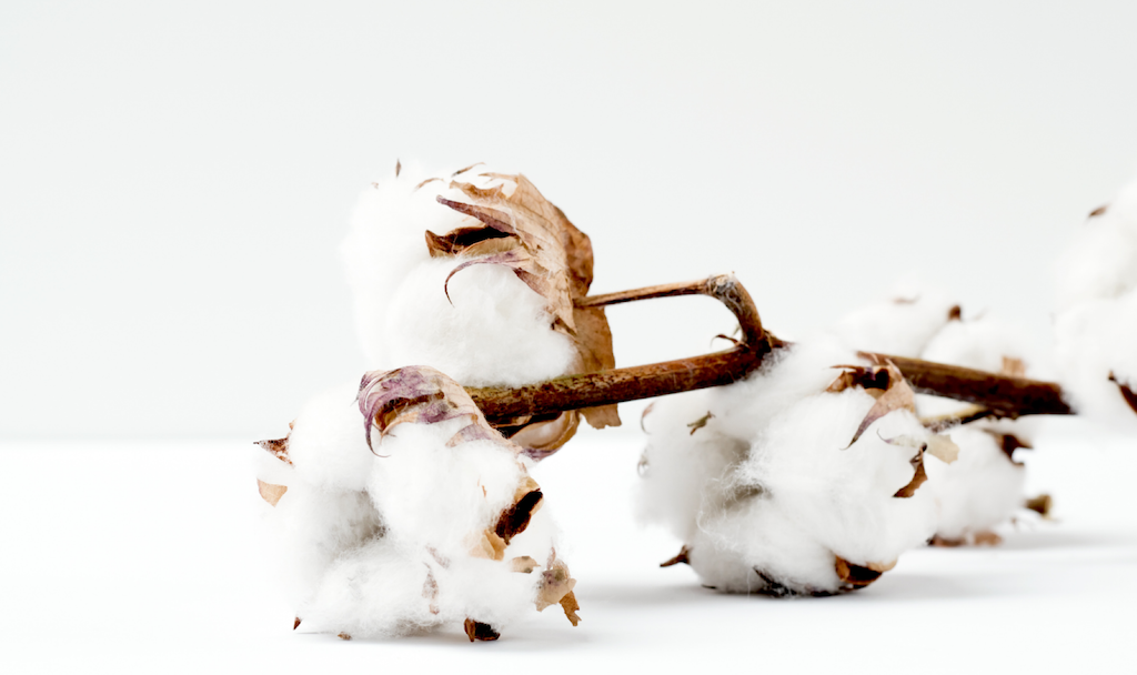 Organic cotton is your child’s new BFF