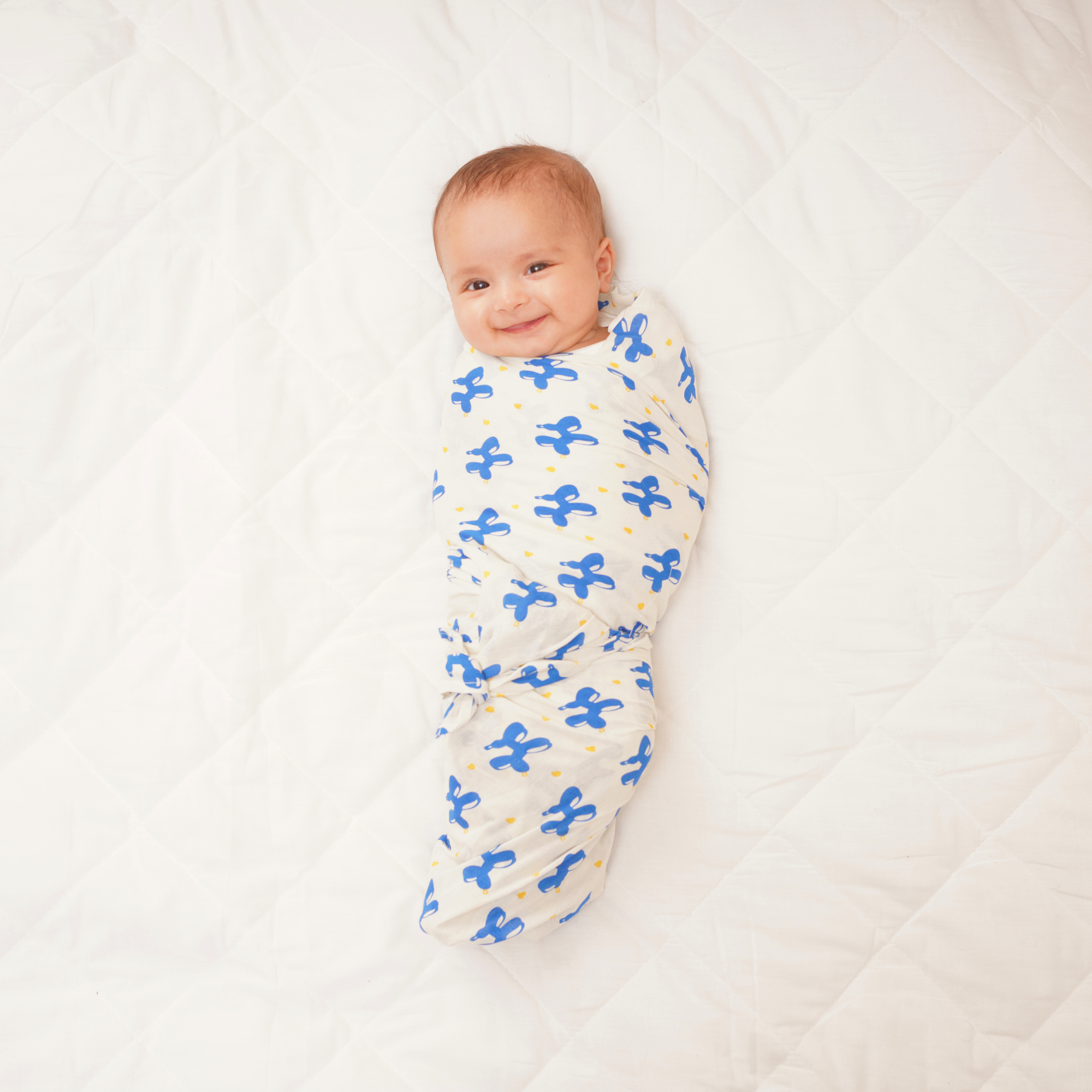 Baby Muslin Swaddles - Blue Safari - Pack of 2