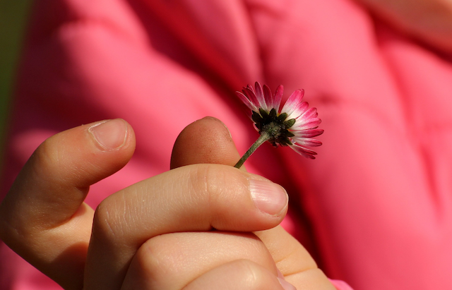 Little hands can create a large impact!